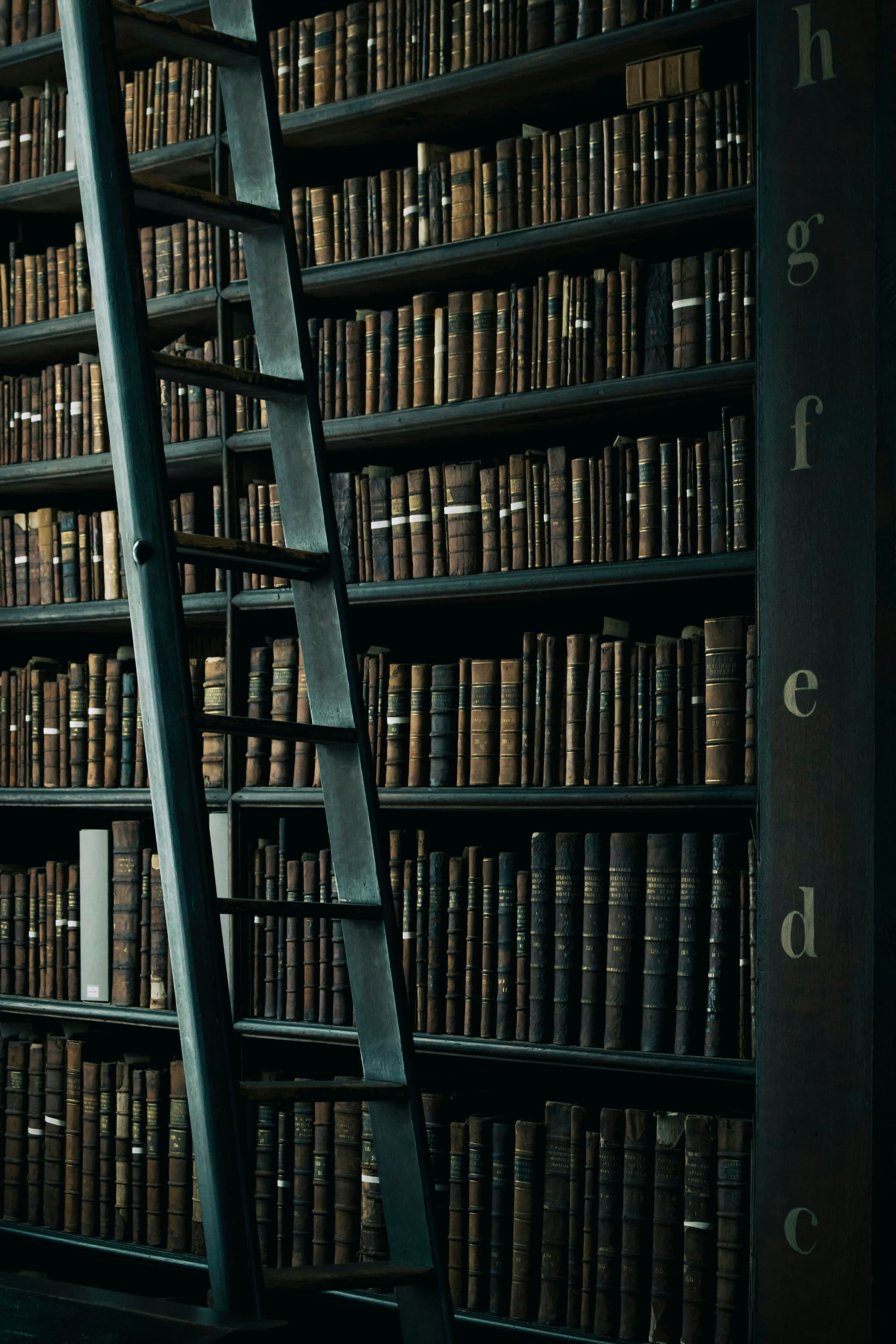 Dictionary